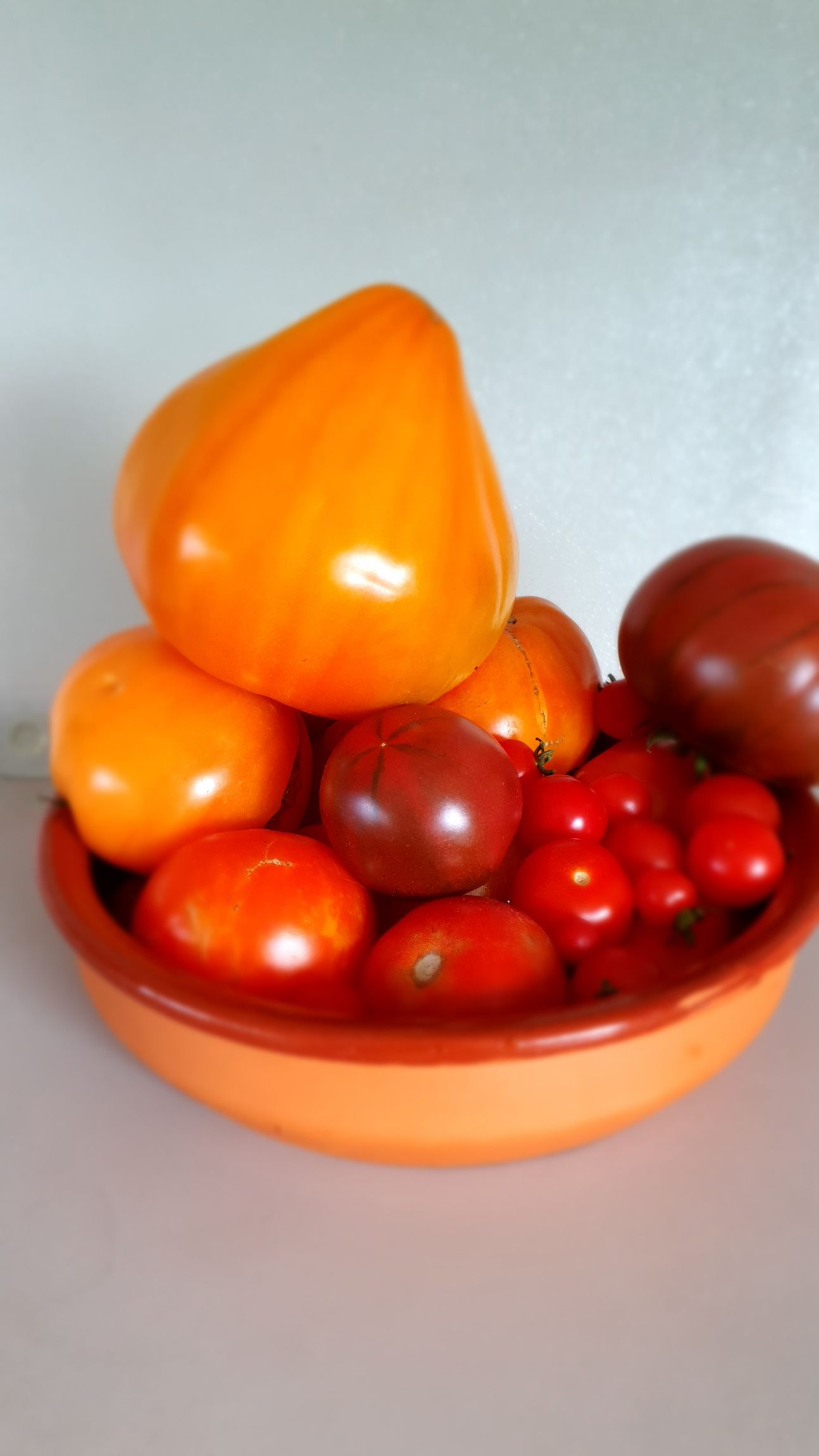 Verschiedene Tomaten, groß und klein, rot und gelb in einer Schale