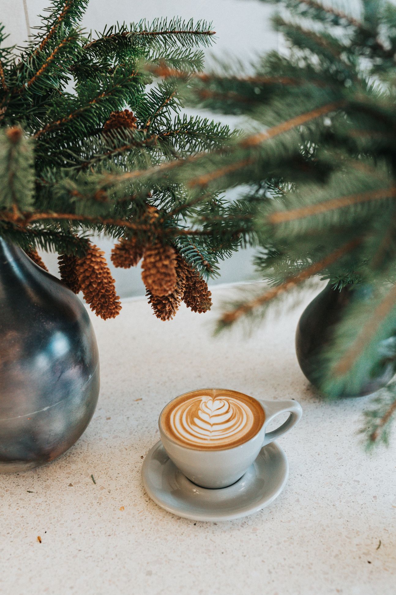 Tannenzweige und eine Tasse geschäumten Kaffee.